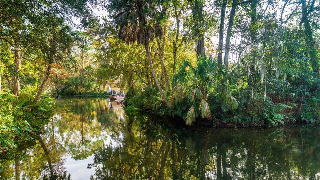 Chassahowitzka River Est. Property Information 10046 S Riviera Point