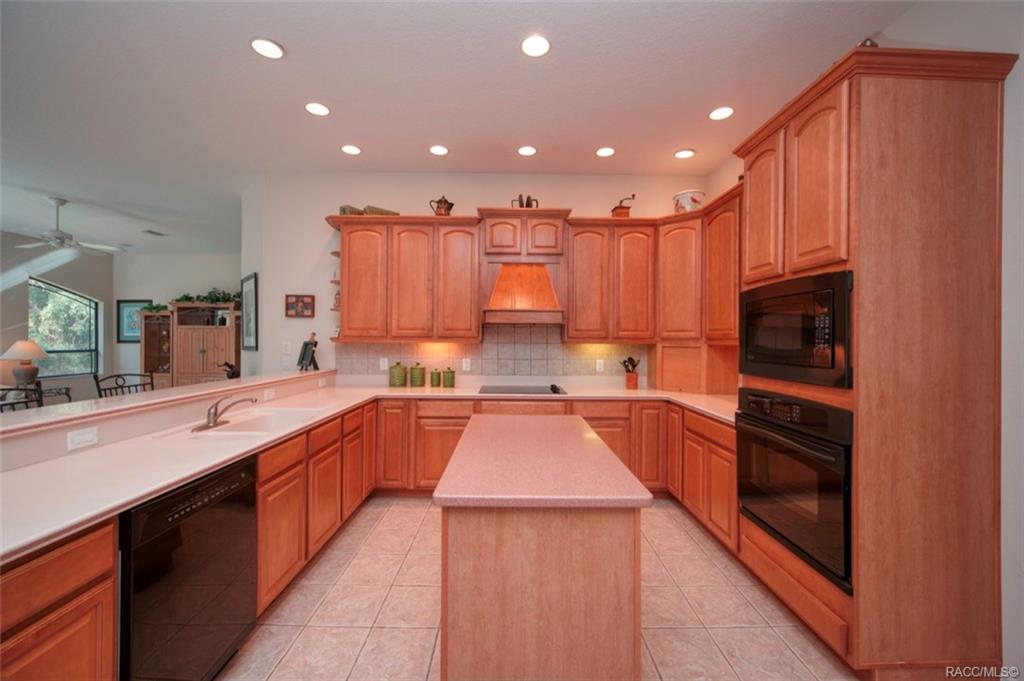 home for sale at 115 Oak Village Boulevard, Homosassa, FL 34446 in Sugarmill Woods