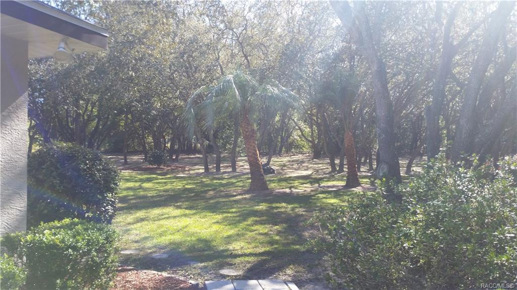 Citrus Hills Fairview Estates Property Information 1460 E