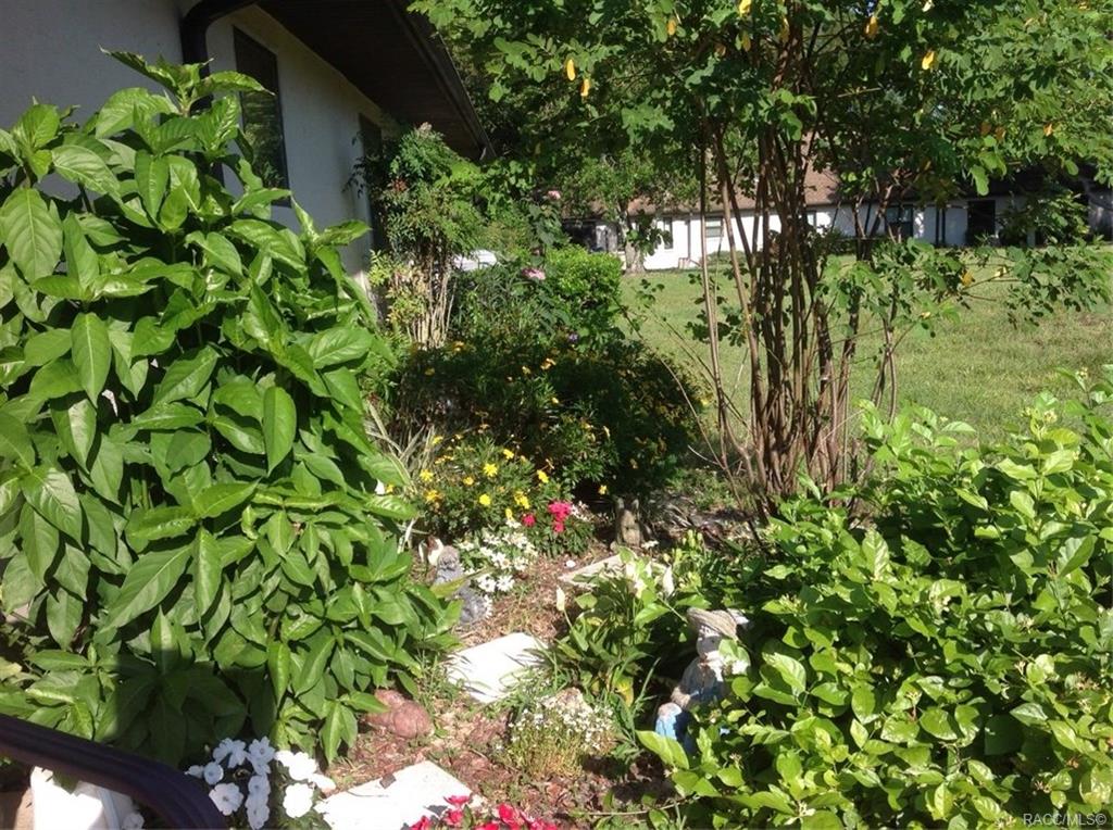 home for sale at 6442 W Lexington Drive, Crystal River, FL 34429 in Meadowcrest - Pinehurst