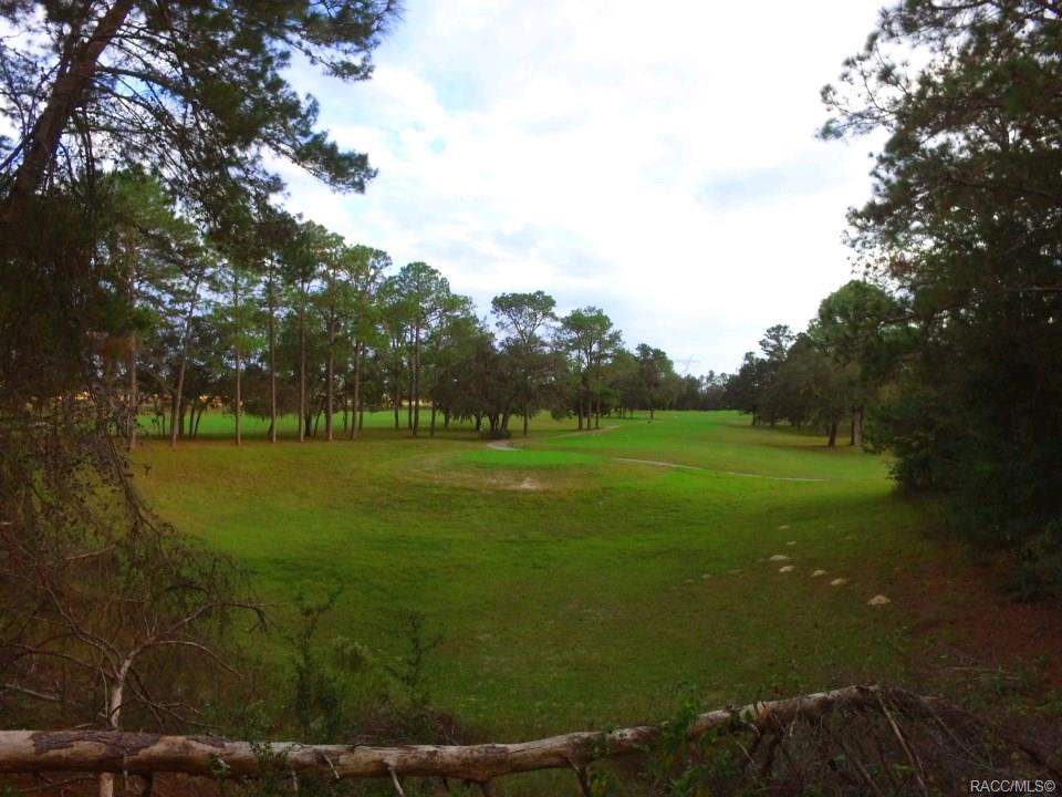 Sugarmill Woods Southern Woods Property Information 17 Woodlee