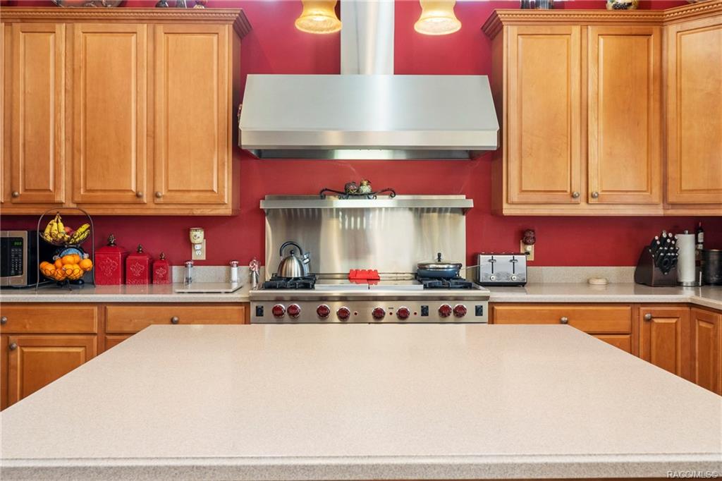 home for sale at 1522 N Eagle Ridge Path, Hernando, FL 34442 in Citrus Hills - Terra Vista