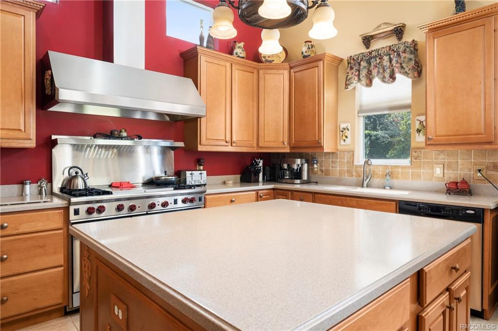 home for sale at 1522 N Eagle Ridge Path, Hernando, FL 34442 in Citrus Hills - Terra Vista