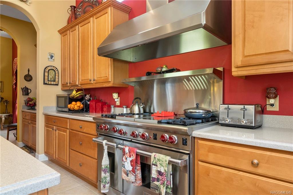 home for sale at 1522 N Eagle Ridge Path, Hernando, FL 34442 in Citrus Hills - Terra Vista