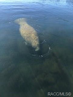 home for sale at 2714 N Prestwick Way, Lecanto, FL 34461 in Black Diamond Ranch