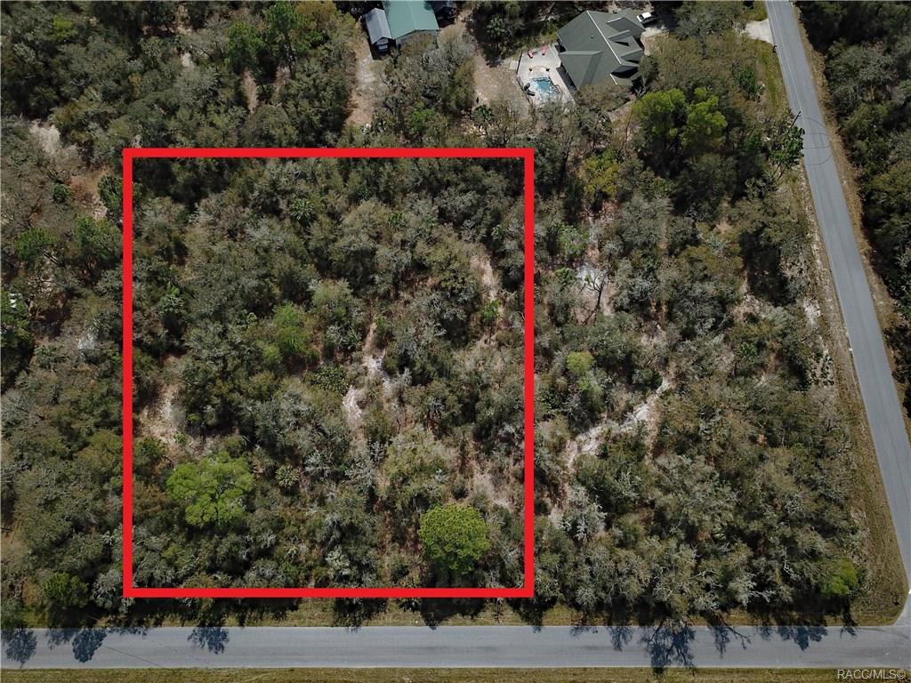 home for sale at 11244 W Bluebell Drive, Crystal River, FL 34428 in Crystal Manor