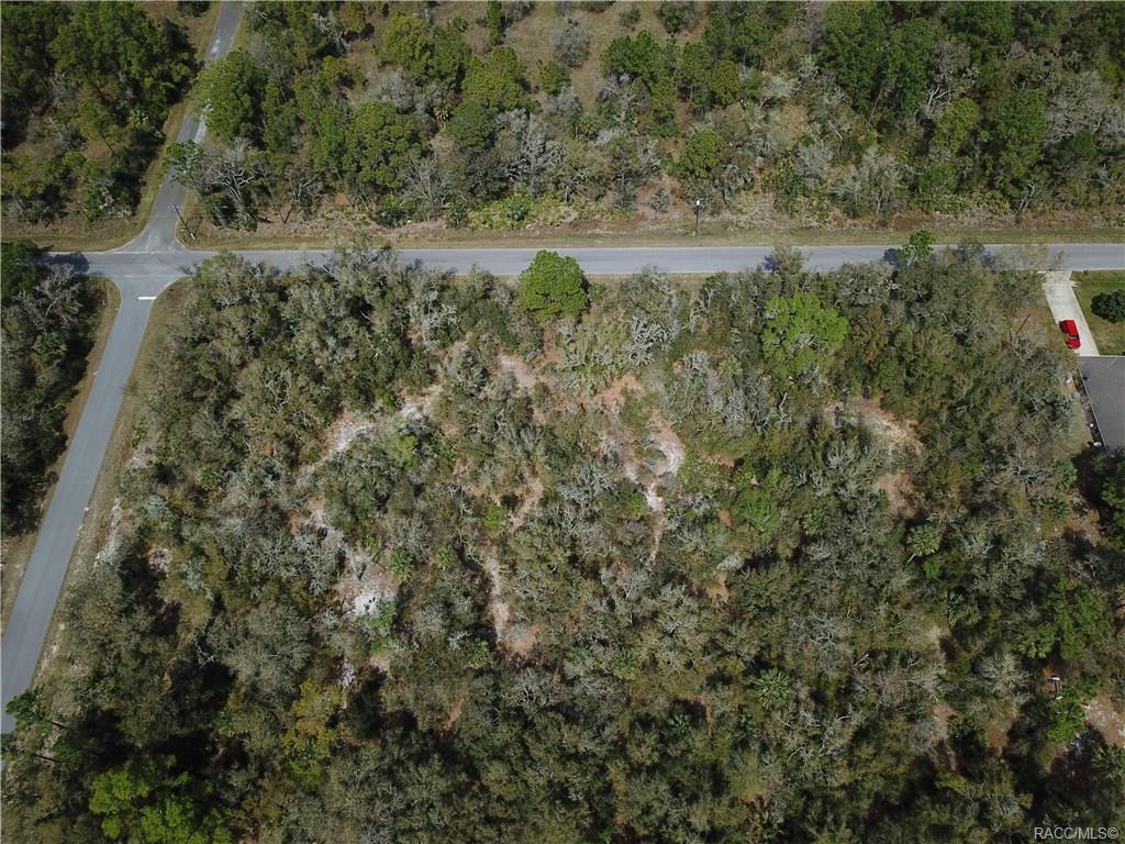 home for sale at 11244 W Bluebell Drive, Crystal River, FL 34428 in Crystal Manor