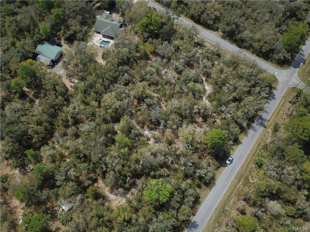home for sale at 11244 W Bluebell Drive, Crystal River, FL 34428 in Crystal Manor