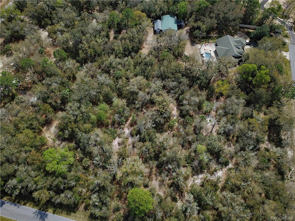 home for sale at 11244 W Bluebell Drive, Crystal River, FL 34428 in Crystal Manor