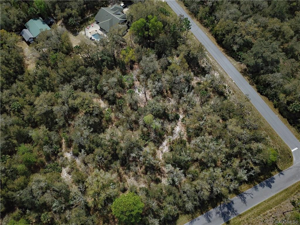 home for sale at 11244 W Bluebell Drive, Crystal River, FL 34428 in Crystal Manor