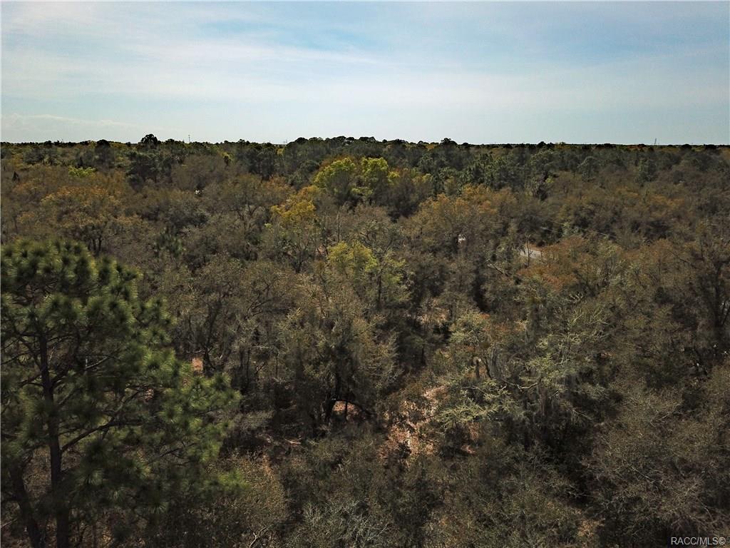 home for sale at 11244 W Bluebell Drive, Crystal River, FL 34428 in Crystal Manor