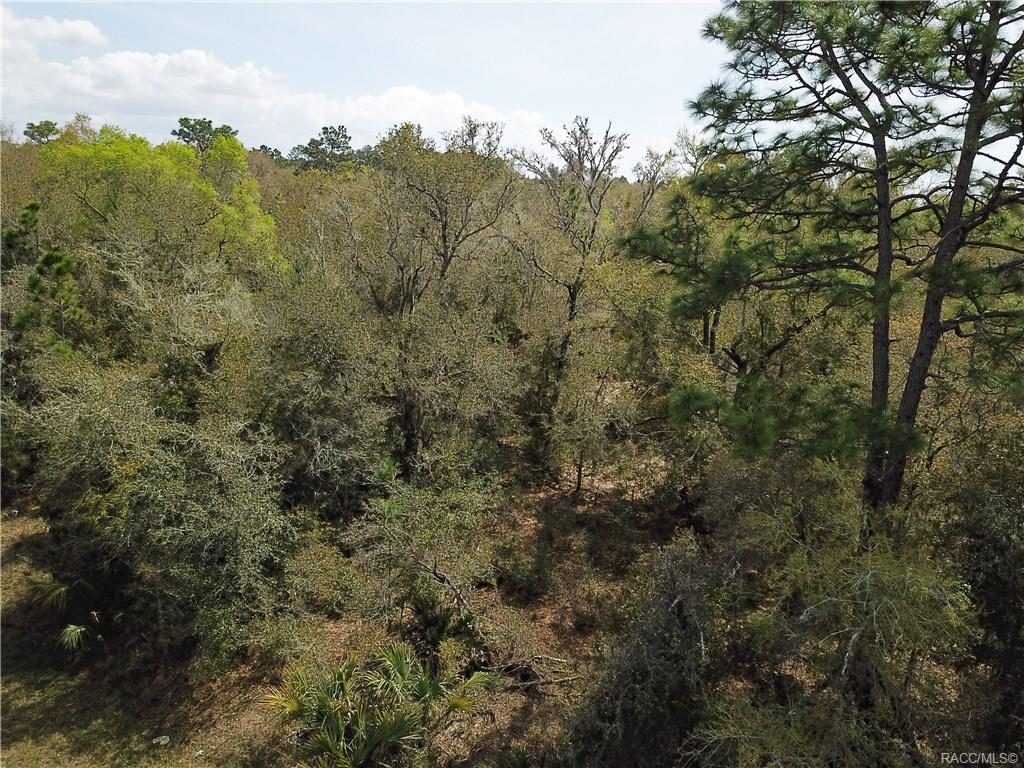 home for sale at 11244 W Bluebell Drive, Crystal River, FL 34428 in Crystal Manor