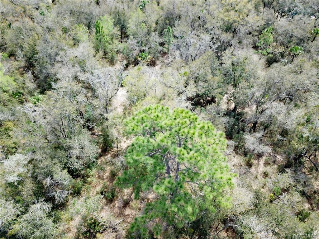 home for sale at 11244 W Bluebell Drive, Crystal River, FL 34428 in Crystal Manor