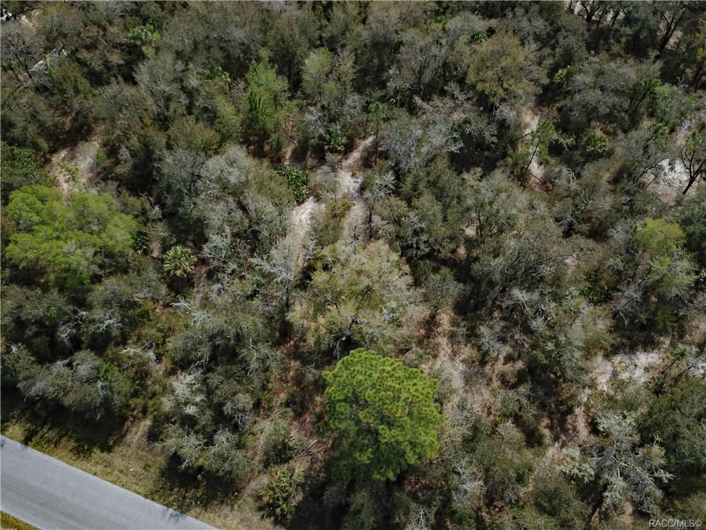 home for sale at 11244 W Bluebell Drive, Crystal River, FL 34428 in Crystal Manor