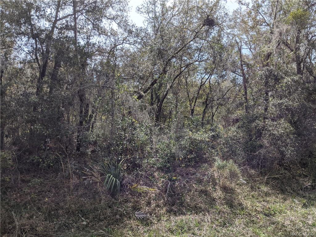 home for sale at 11244 W Bluebell Drive, Crystal River, FL 34428 in Crystal Manor