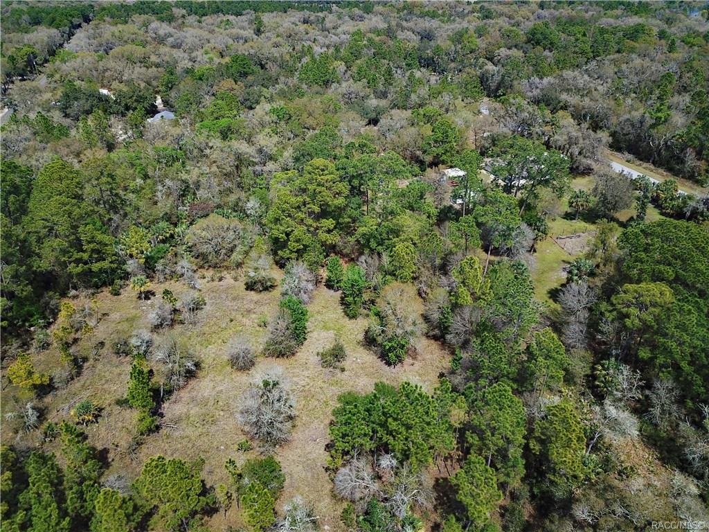 home for sale at 11244 W Bluebell Drive, Crystal River, FL 34428 in Crystal Manor