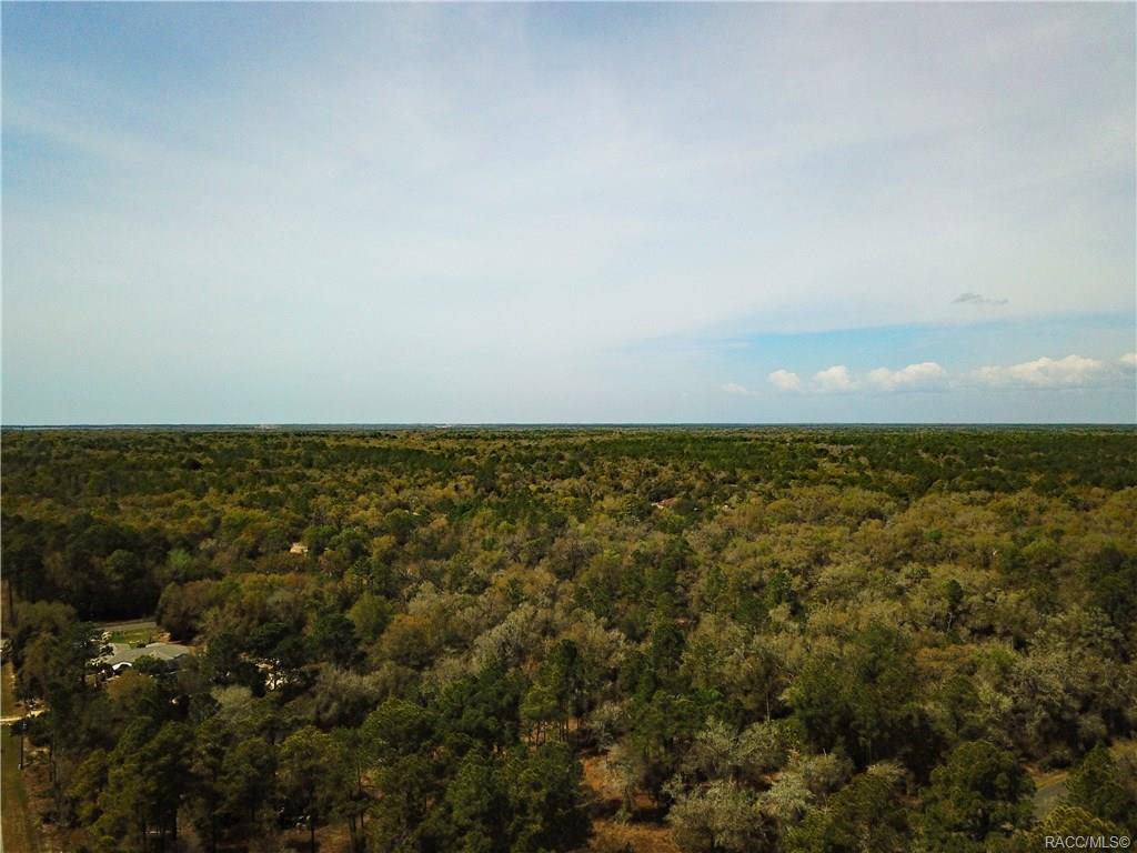 home for sale at 11244 W Bluebell Drive, Crystal River, FL 34428 in Crystal Manor