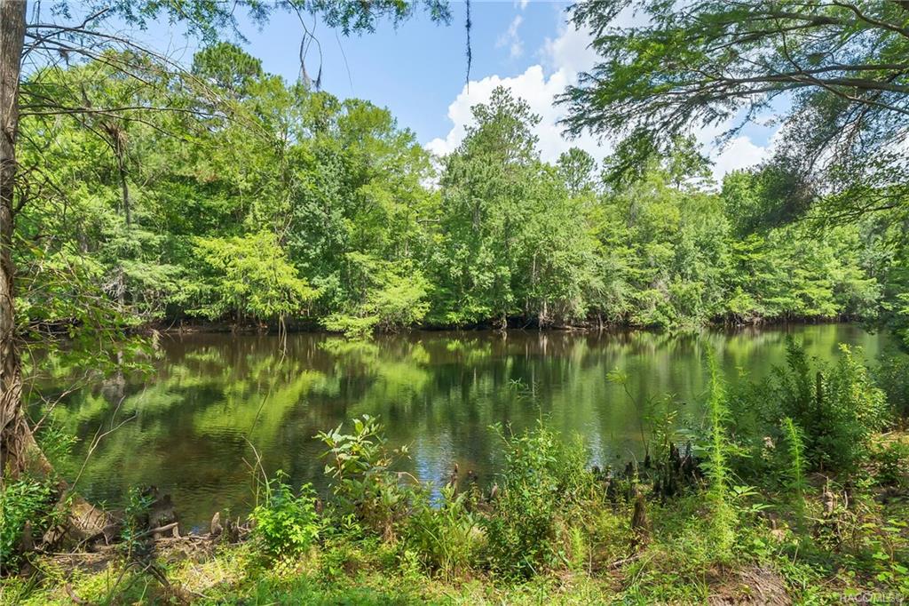 home for sale at 10510 N Silverlake Point, Dunnellon, FL 34434 in Cypress Point Acres