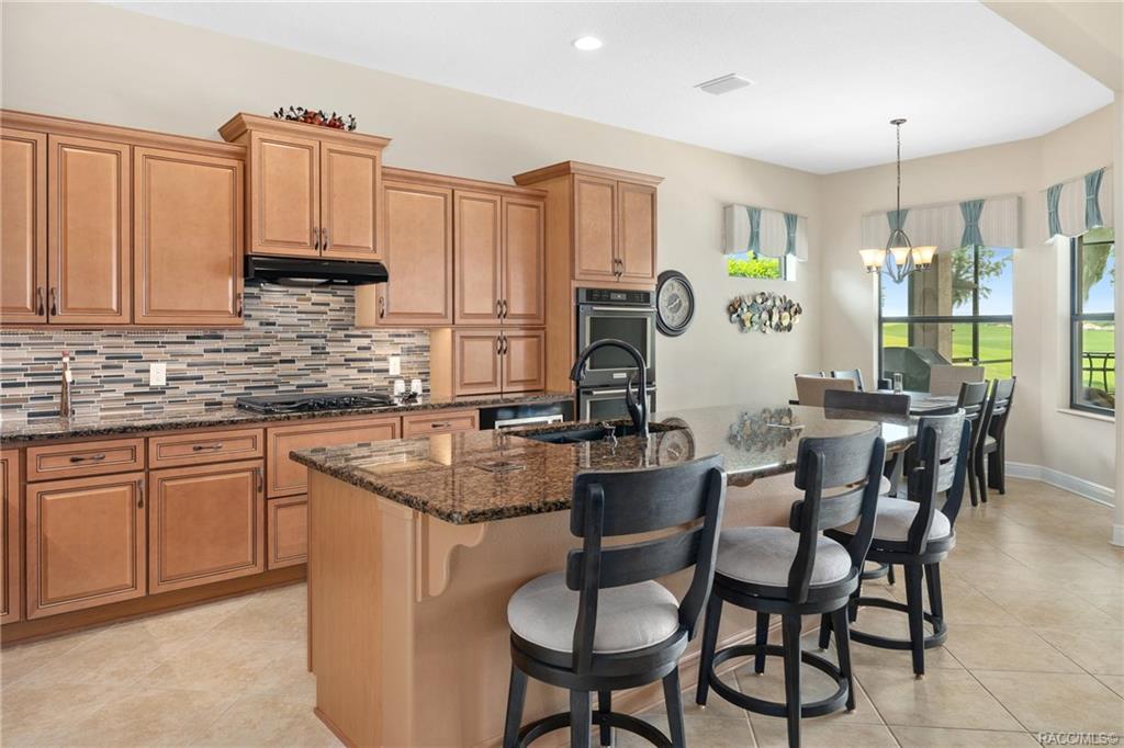 home for sale at 1606 W Westford Path, Hernando, FL 34442 in Citrus Hills - Terra Vista