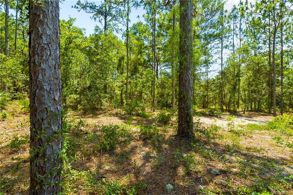 home for sale at 230 Pine Street, Homosassa, FL 34446 in Sugarmill Woods - Cypress Village