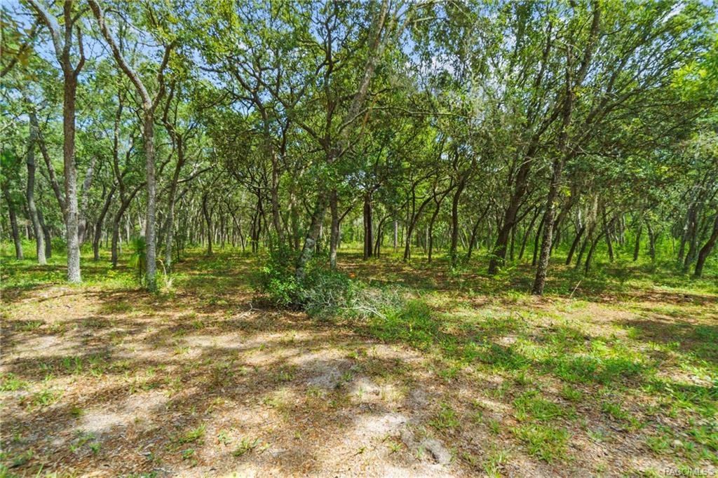 home for sale at 4752 W Ranger Street, Beverly Hills, FL 34465 in Pine Ridge