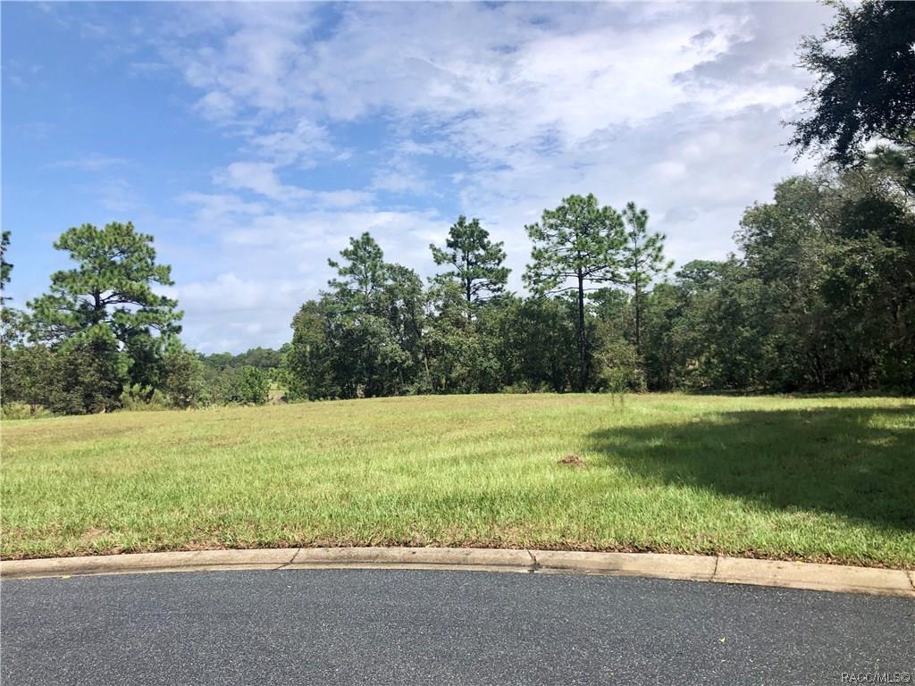 home for sale at 3581 N Spyglass Village Path, Lecanto, FL 34461 in Black Diamond Ranch