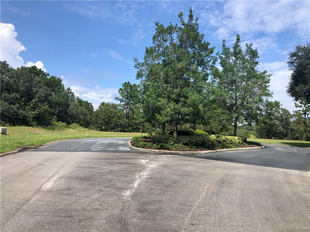home for sale at 3581 N Spyglass Village Path, Lecanto, FL 34461 in Black Diamond Ranch