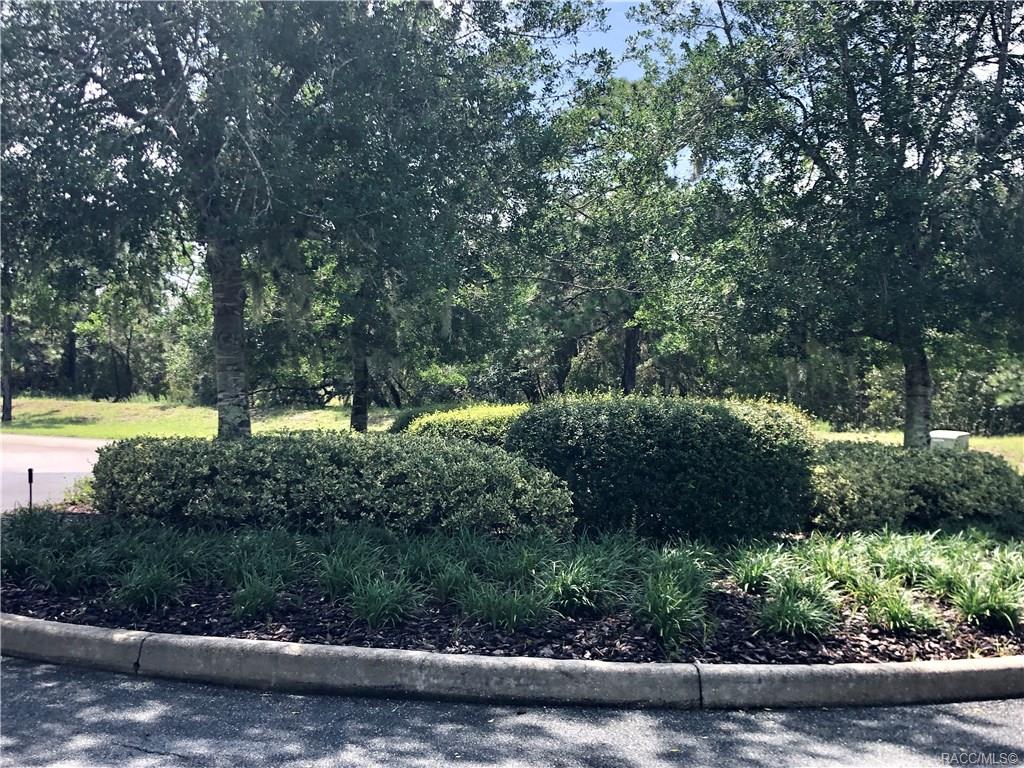 home for sale at 3581 N Spyglass Village Path, Lecanto, FL 34461 in Black Diamond Ranch