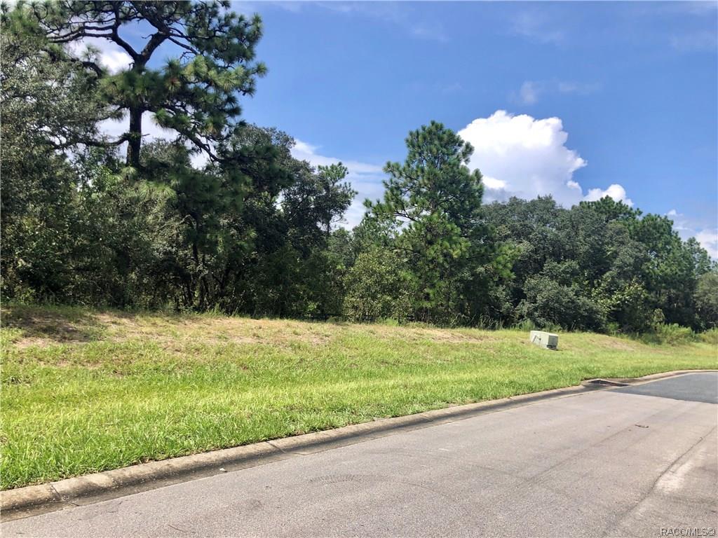 home for sale at 3581 N Spyglass Village Path, Lecanto, FL 34461 in Black Diamond Ranch