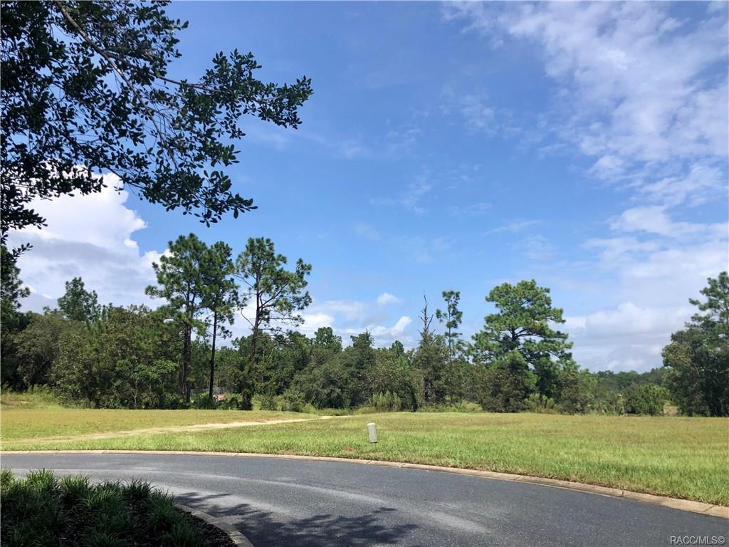 home for sale at 3581 N Spyglass Village Path, Lecanto, FL 34461 in Black Diamond Ranch