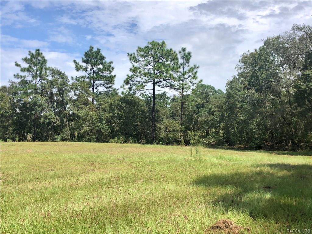 home for sale at 3581 N Spyglass Village Path, Lecanto, FL 34461 in Black Diamond Ranch
