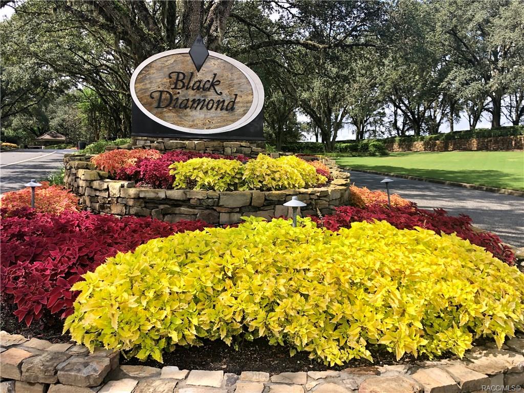 home for sale at 3581 N Spyglass Village Path, Lecanto, FL 34461 in Black Diamond Ranch