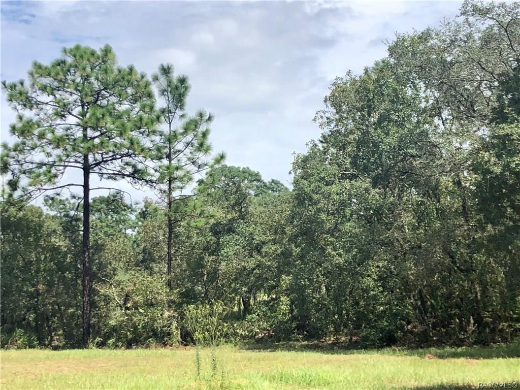 home for sale at 3581 N Spyglass Village Path, Lecanto, FL 34461 in Black Diamond Ranch
