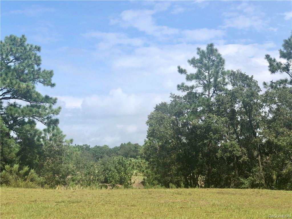 home for sale at 3581 N Spyglass Village Path, Lecanto, FL 34461 in Black Diamond Ranch
