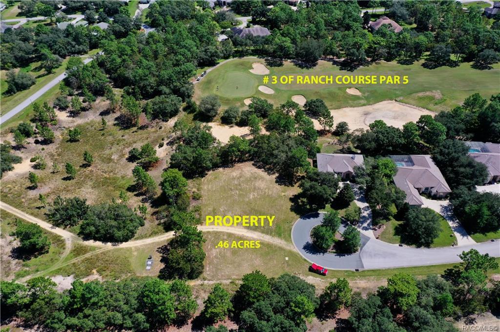 home for sale at 3581 N Spyglass Village Path, Lecanto, FL 34461 in Black Diamond Ranch