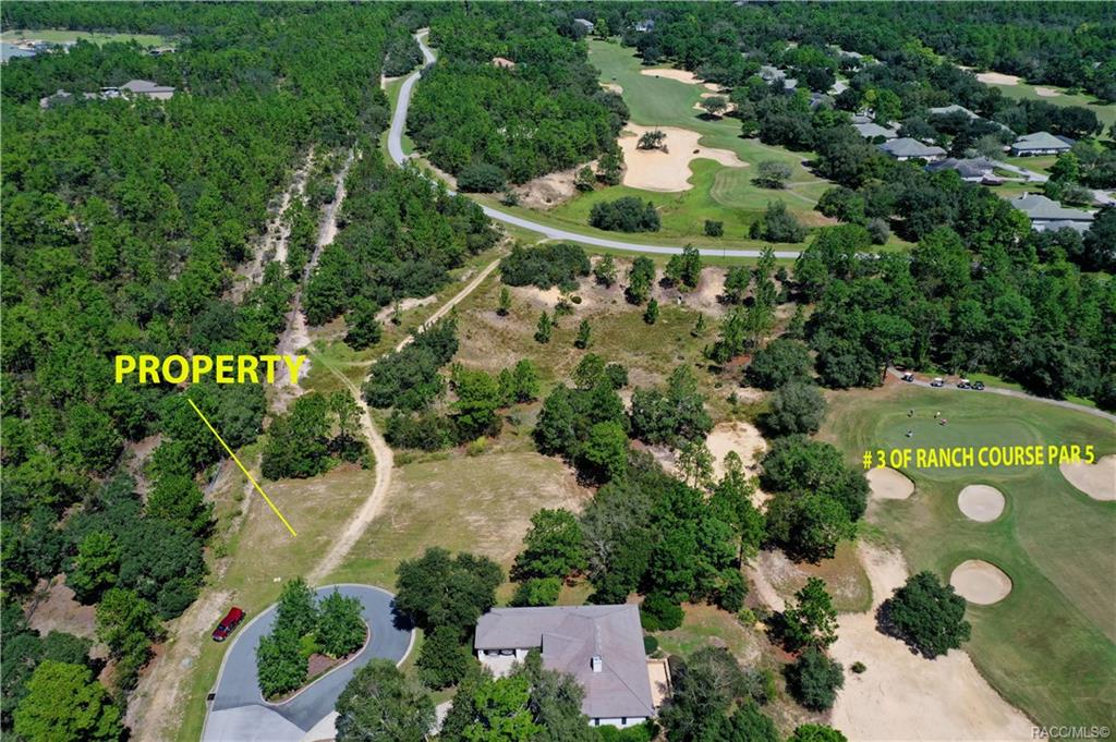 home for sale at 3581 N Spyglass Village Path, Lecanto, FL 34461 in Black Diamond Ranch