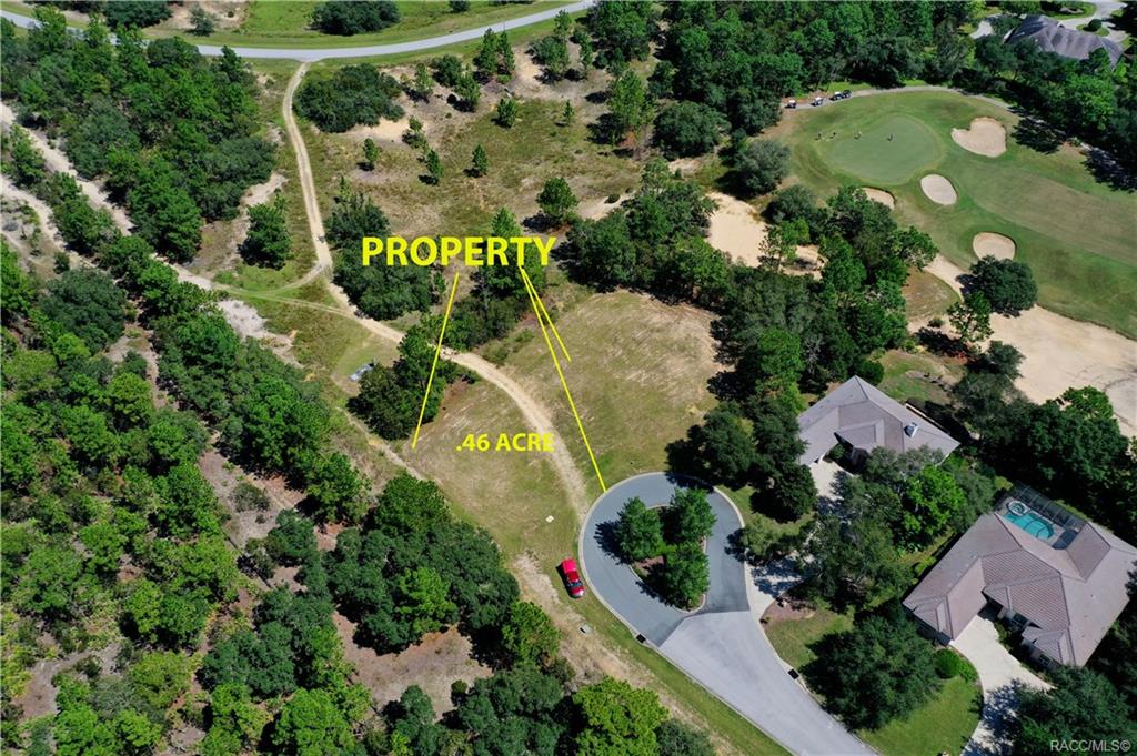 home for sale at 3581 N Spyglass Village Path, Lecanto, FL 34461 in Black Diamond Ranch