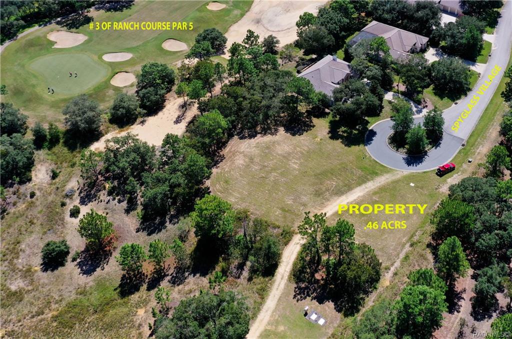 home for sale at 3581 N Spyglass Village Path, Lecanto, FL 34461 in Black Diamond Ranch
