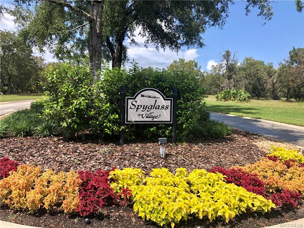 home for sale at 3581 N Spyglass Village Path, Lecanto, FL 34461 in Black Diamond Ranch