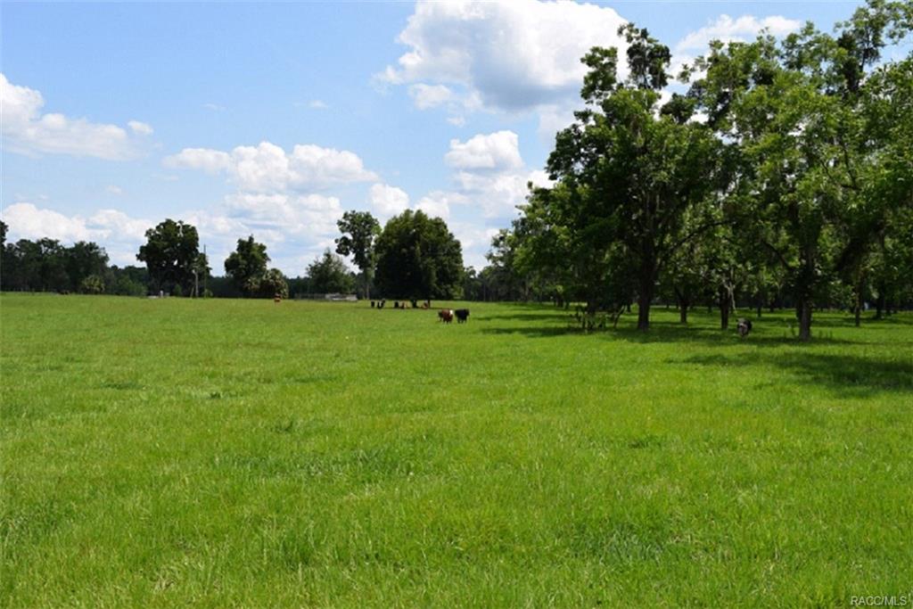 home for sale at 000 Price Road, Hawthorne, FL 32640 in Putnam County