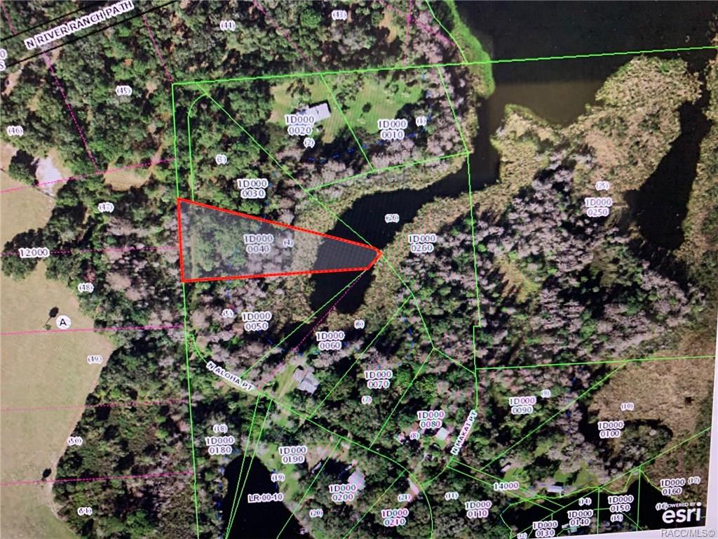 home for sale at 10937 N Aloha Point, Crystal River, FL 34428 in Lake Rousseau