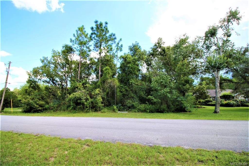 home for sale at 1634 E Cleveland Street, Hernando, FL 34442 in Citrus Hills - Presidential Estates