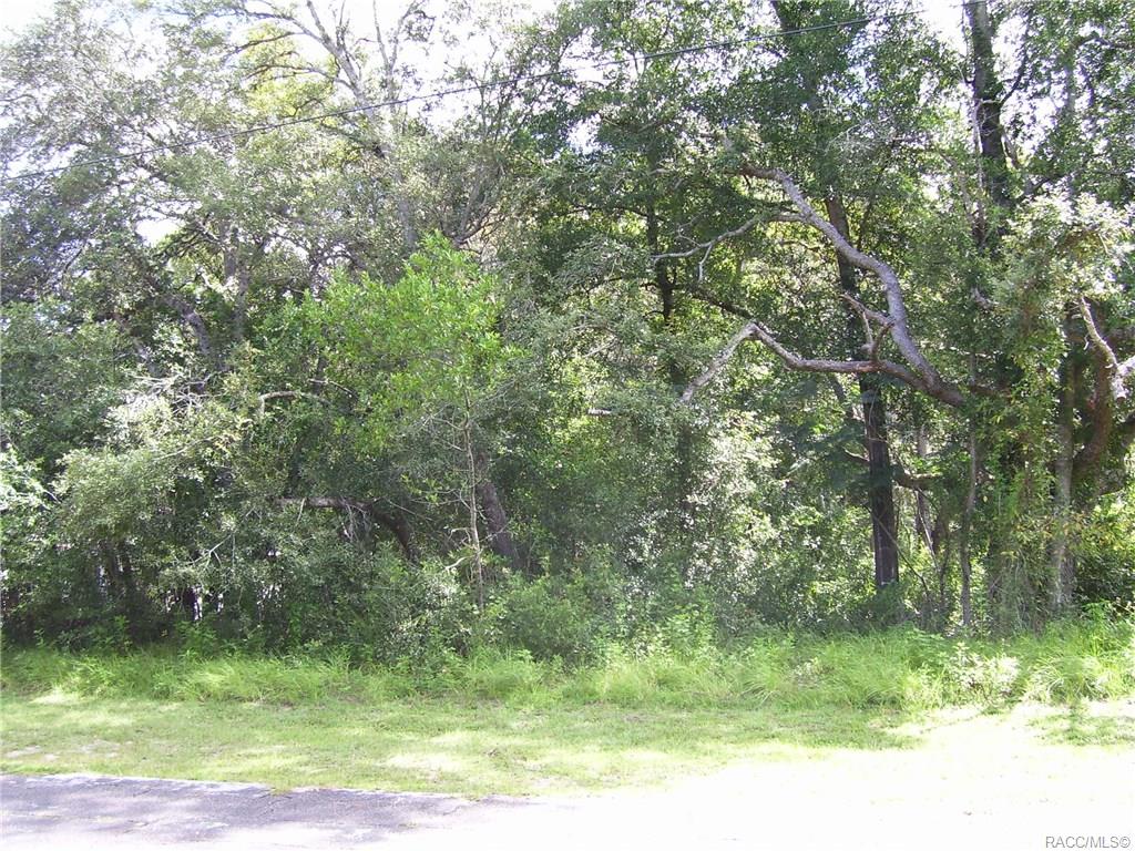 home for sale at 8945 N Hammond Way, Citrus Springs, FL 34434 in Citrus Springs