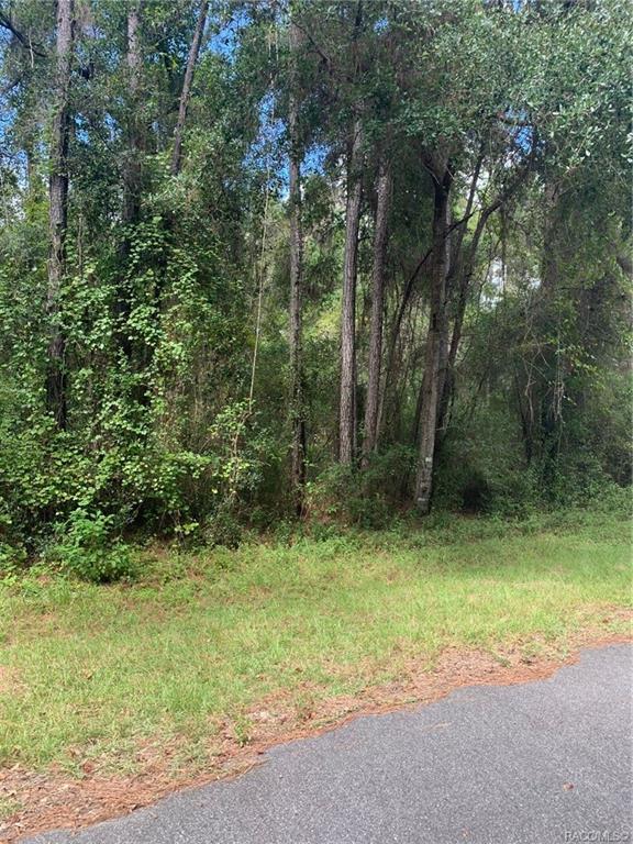 home for sale at 921, 918, 922, 926 E Abend Drive, Citrus Springs, FL 34434 in Citrus Springs
