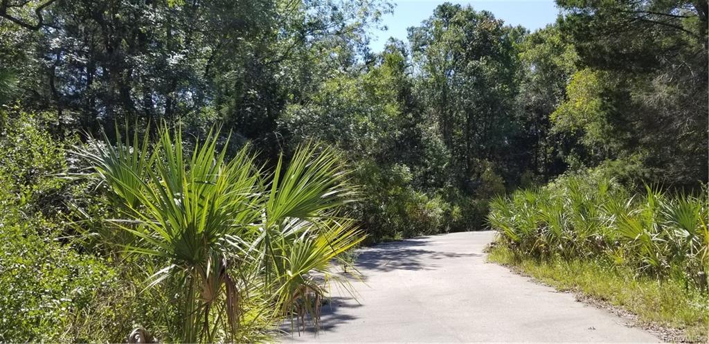 home for sale at 10240 W Ozello Trail, Crystal River, FL 34429 in Citrus County