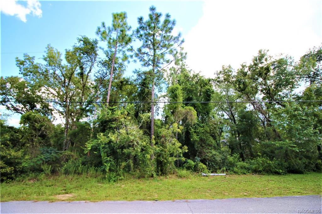 home for sale at 1634 E Cleveland Street, Hernando, FL 34442 in Citrus Hills - Presidential Estates