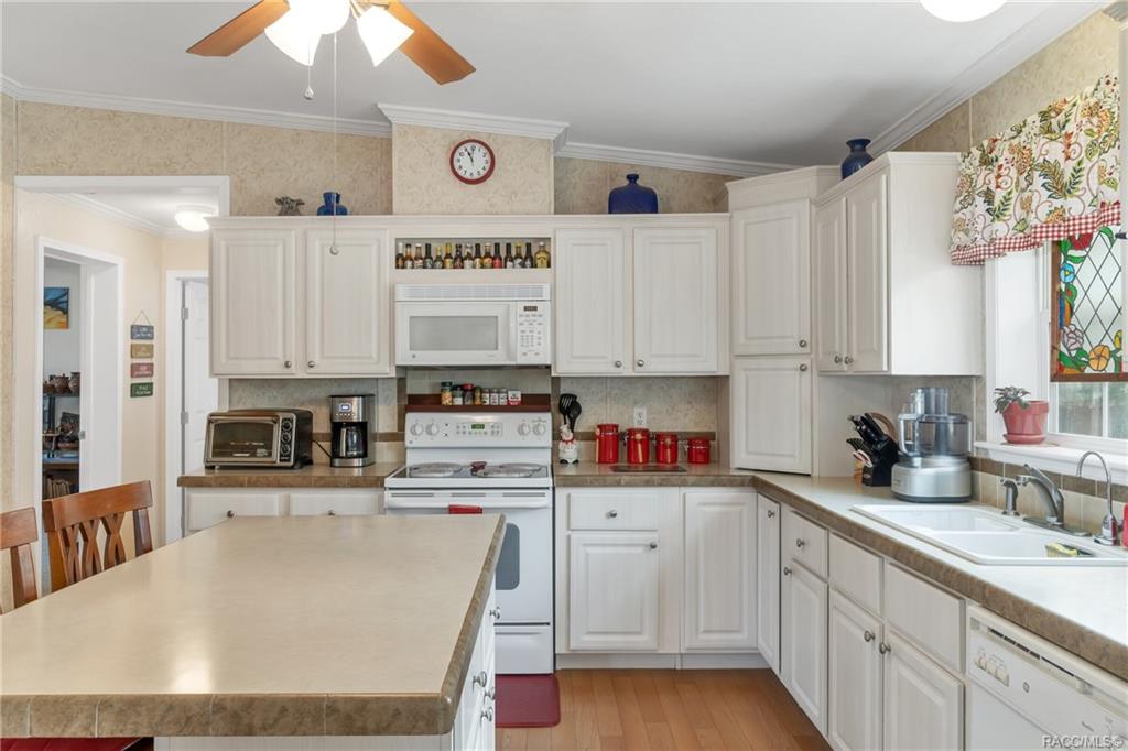 home for sale at 5168 W Rochelle Street, Homosassa, FL 34446 in Oak Forest Estates