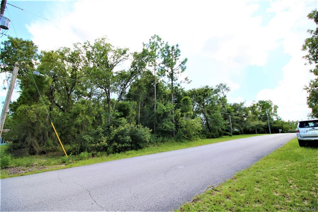 home for sale at 1634 E Cleveland Street, Hernando, FL 34442 in Citrus Hills - Presidential Estates