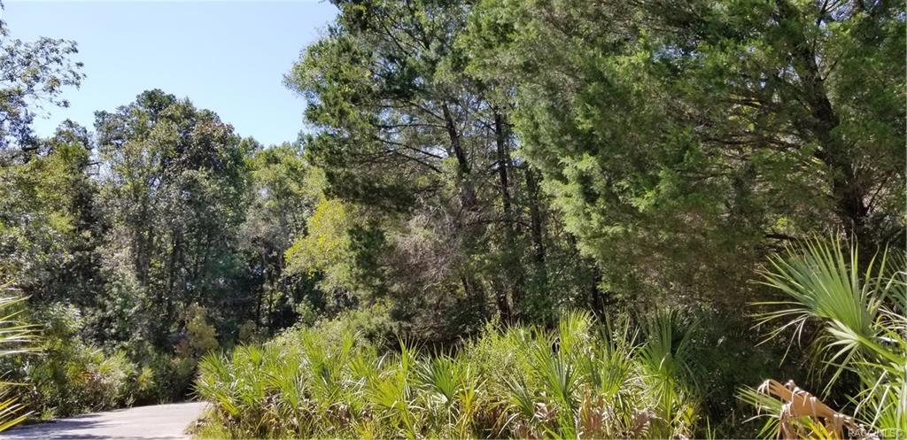 home for sale at 10240 W Ozello Trail, Crystal River, FL 34429 in Citrus County