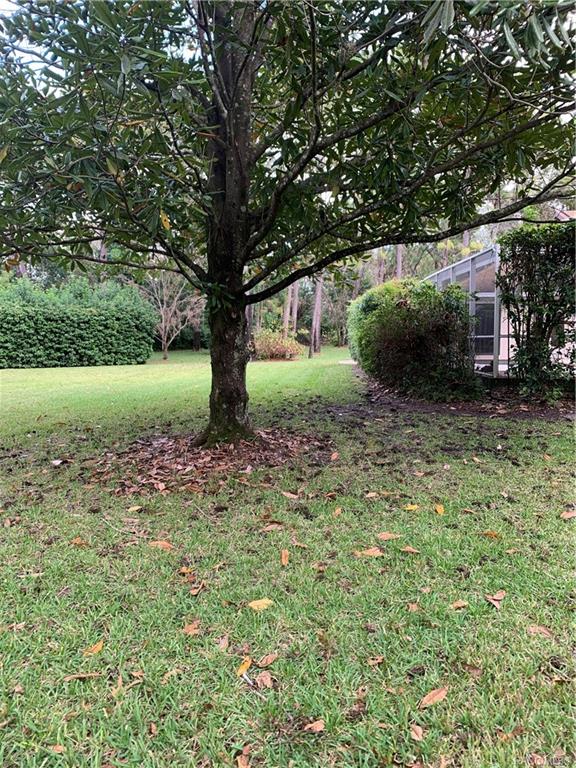 home for sale at 1 Enclave Point S, Homosassa, FL 34446 in Sugarmill Woods